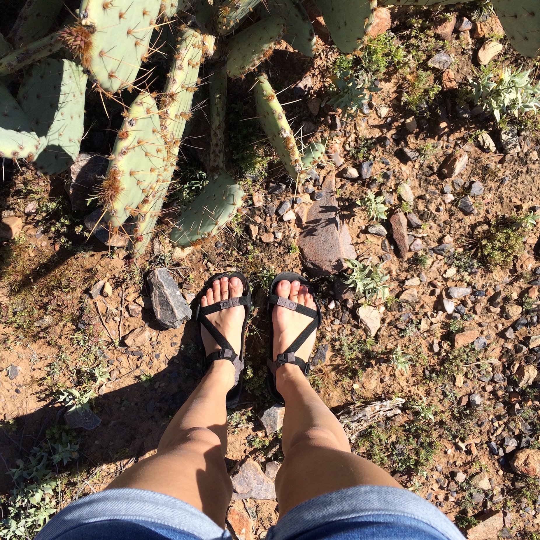 Xero Shoes' Z-Trail Sandals Are the Best Shoes I've Worn, and They're  Hardly Shoes at All