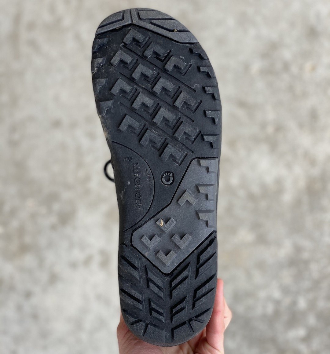 xcursion fusion review