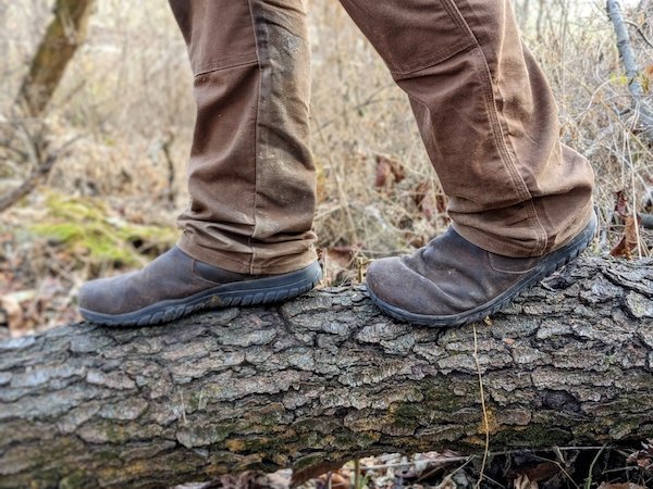 A cloes up of a pair of feet walking across a fallen log in a forest wearing Lems Chelsea Espresso waterproof barefoot boots