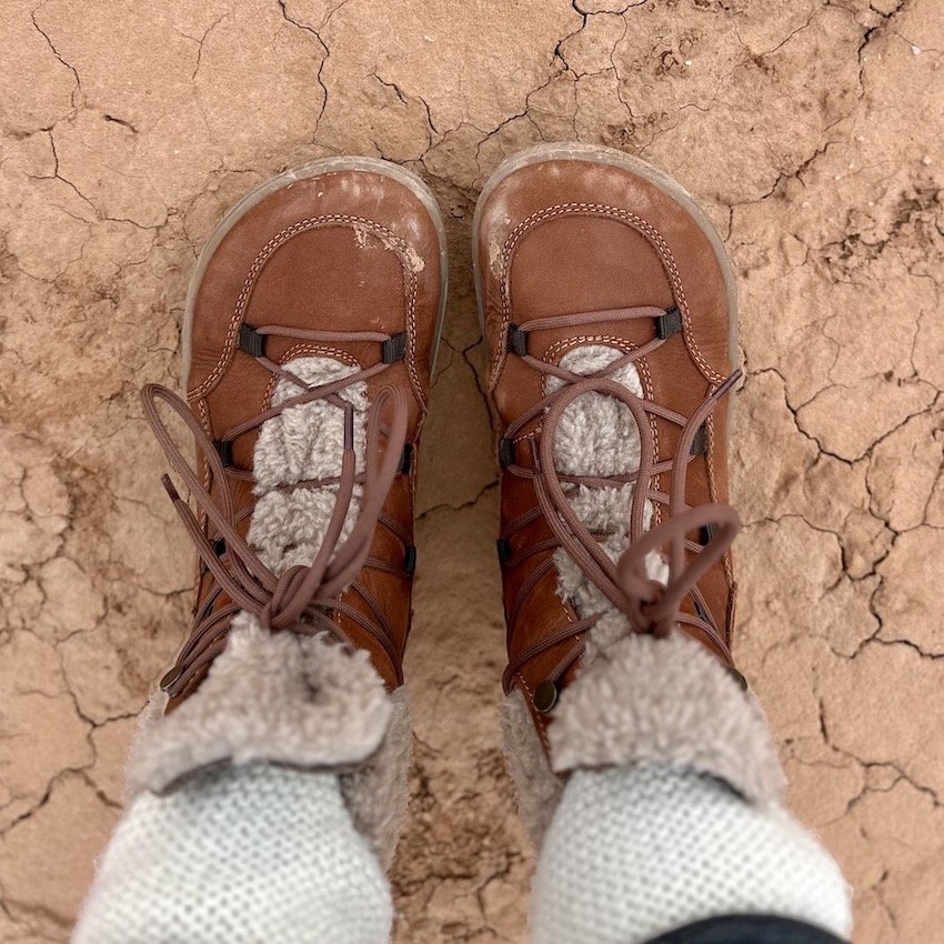 A top down view of a pair of feet standing on red rock wearing Be Lenka Bliss barefoot winter boots in brown