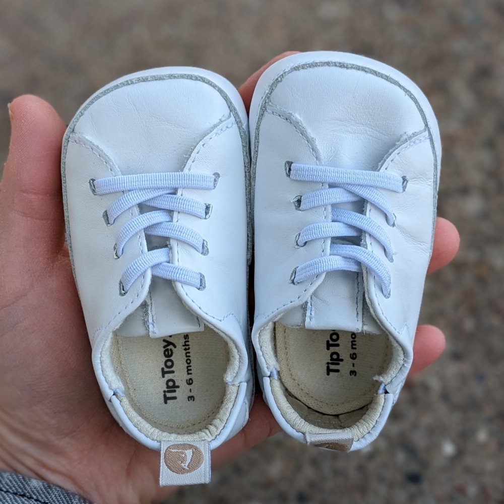 Tip Toey Joey white leather baby sneakers being held in a hand. They are precious