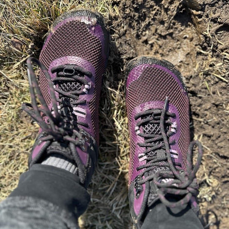 Top down view of Xero Shoes Scrambler Mid barefoot hiking boots in a purple shade. They feature a wide toe box, speed hooks, and zero drop outsole