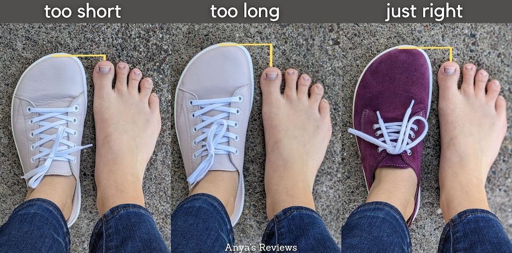 How Should Minimalist Shoes Fit Store Bellvalefarms
