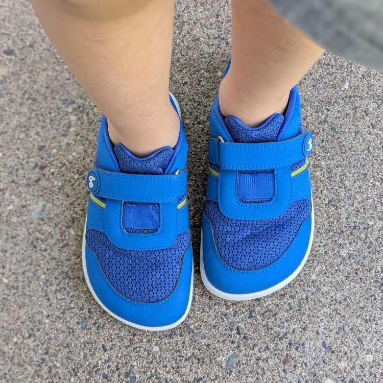 Top down close up of Be Lenka Glade barefoto sneakers for kids in a brilliant blue. The wide toe box promotes healthy foot develop and function.