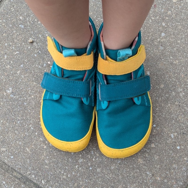 Top down look at a pair of kids barefoot high tops from Wilding Shoes. The flannel lining is just visible near the ankle, and the shoes feature two velcro straps for an easy fit.