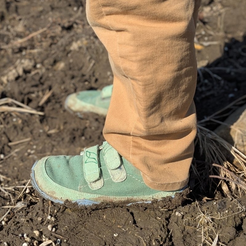 A young boy's feet in Wildling Shoes green canvas barefoot sneakers. He is standing on muddy ground with the blue flexible barefoot soles caked with mud.