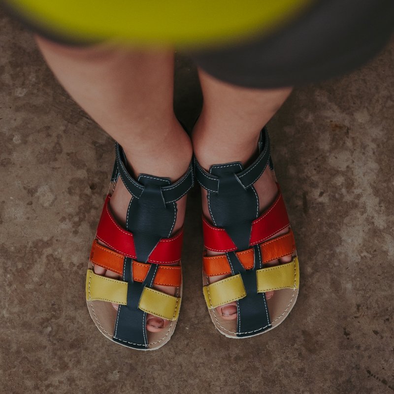 Top down view of Zeeazoo Marlin multi colored leather barefoot sneakers for kids with a wide toe box