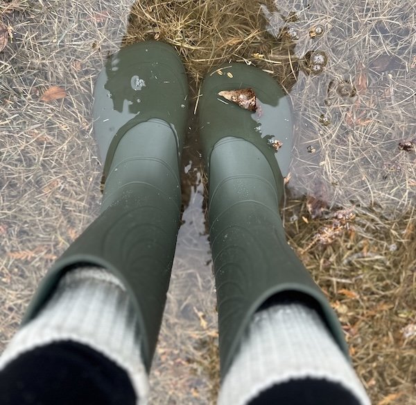 A top down view of a person wearing pair of 100% rubber rain boots with a wide toe box and a felt lining. Boots are green, and the person is wearing wool socks with them and standing in a puddle of water a couple of inches deep