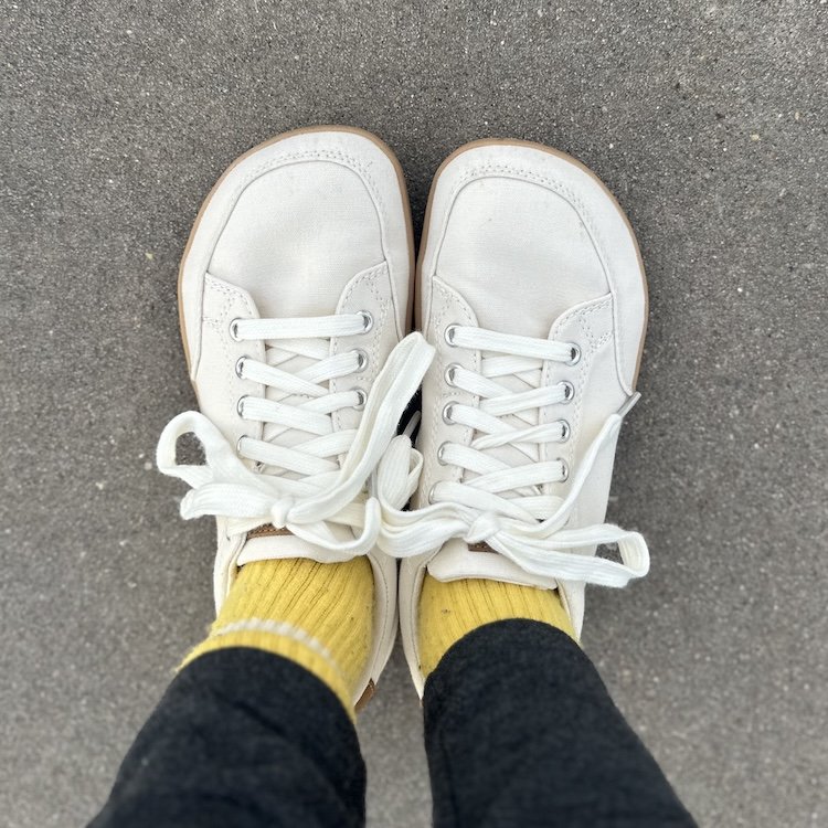 A close up of Splay Freestyle 3.0 in a white canvas, an affordable lace up basic sneaker