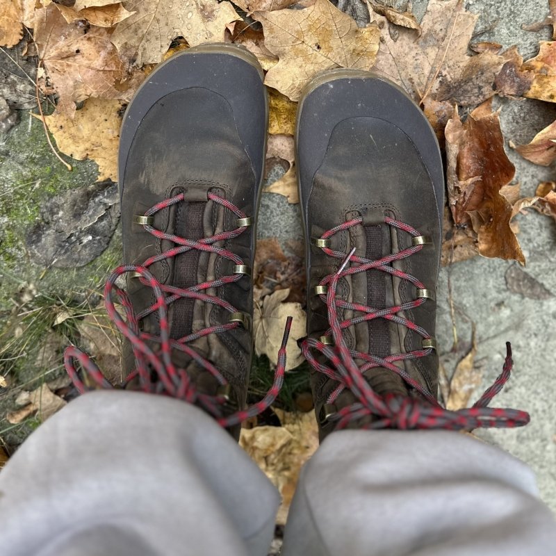 Top down view of a pair of feet in Vivobarefoot Tracker leather AT on leaf covered ground. The wide toe box hiking boots have red laces