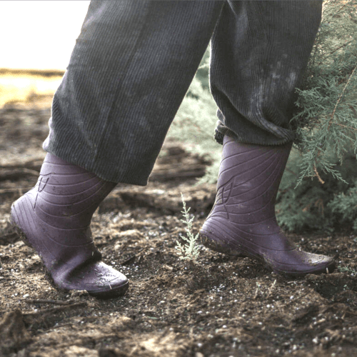 A person's feet on their tip toes in Wildling Ranidae Plum rubber rain boots with a flexible outsole and wide toe box standing on wet muddy ground.
