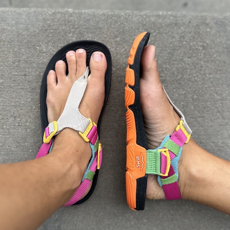 A top and side view of a person's feet in colorful wide toe box cushioned sandals from Lems. The Switchback Knit is shown with bright colorful interchangeable straps.