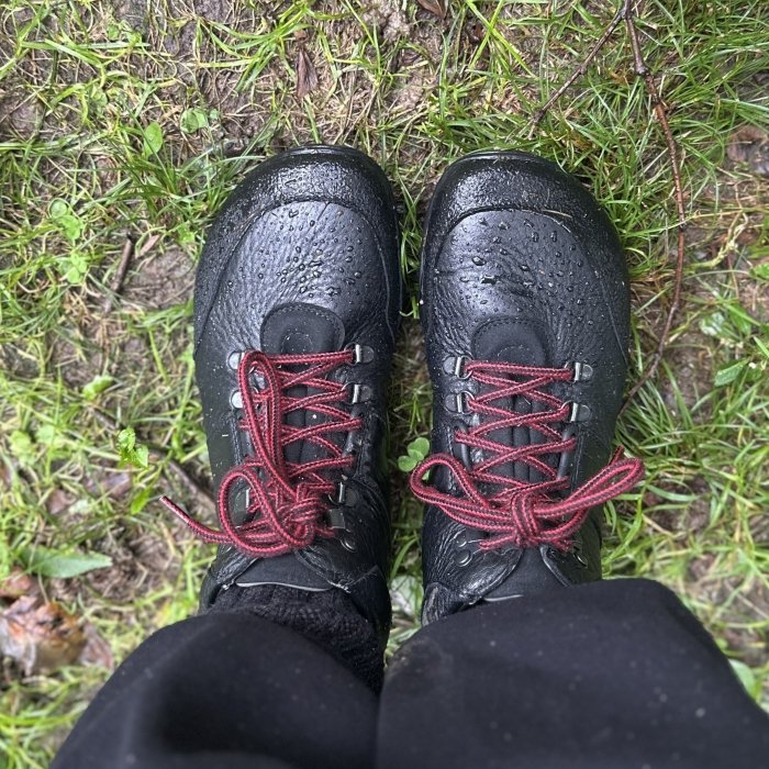 Top down view of a pair of Baer Mountain Hiking black leather barefoot Boots with gusseted tongue, red laces, and a wide anatomical toe box.